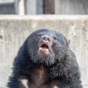 にしん御殿の画像