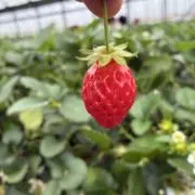 ぽってん（自己紹介文必読）の画像