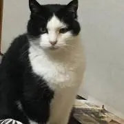 みんとの画像