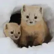 こうすけの画像