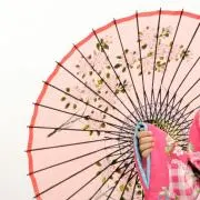 めのくらげ