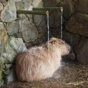 たなかの画像