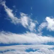 vvv.の画像