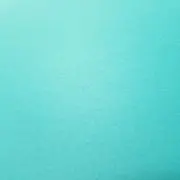 はちこの画像
