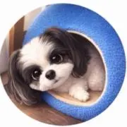ひめ