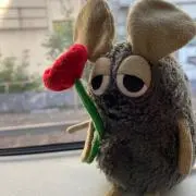勿忘草✳︎×✳︎断捨離中の画像