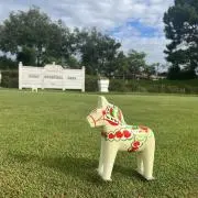 ゆーみんの画像
