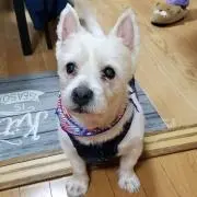 みるく