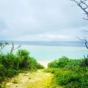 スイッチの画像