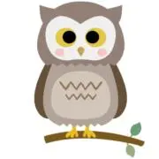 ふくろうの画像