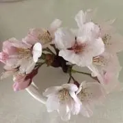 eimiの画像