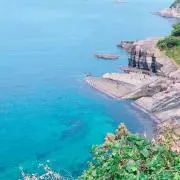 ともの画像