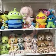 サリーの画像