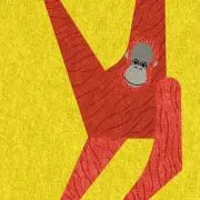 nicoの画像