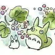 とうふクッキーの画像
