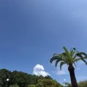 ナカの画像