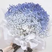 みお✿