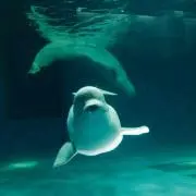kkuu☆