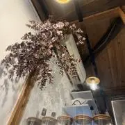 ぐみの画像
