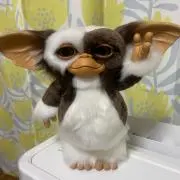 きゅうの画像