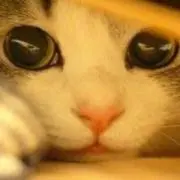 レオノア