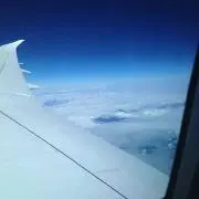 Sky Frogの画像
