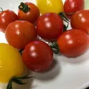ぴっぴ