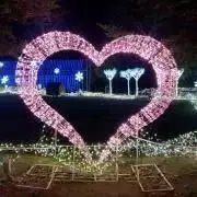 TAMAの画像