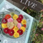 48.a.flowerの画像