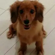 NAOHIRO