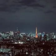 即購入可】 OUR LEGACY Traditional Polo 50 - メルカリ