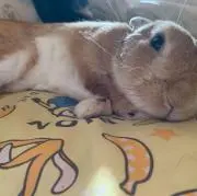 hi.の画像