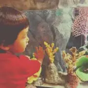まりな
