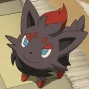 おもちの画像