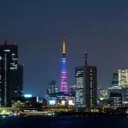ナカコウの画像