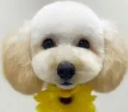 ☆tony☆ ※プロフ要確認の画像