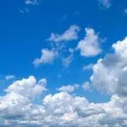 がちまやの画像