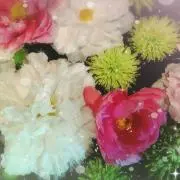 にいなっちの画像