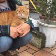 古着雑貨CUの画像