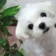 あすりーと33の画像