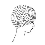 mocheの画像
