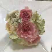 うきうき