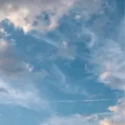 Kumoの画像