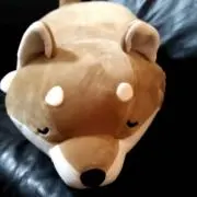 きなこの画像
