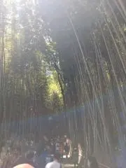 きこ