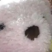 はるりん