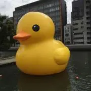 soyaromizuの画像