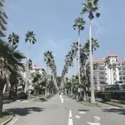 su