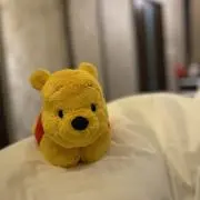 YH1207の画像