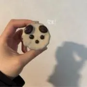 鮭の画像